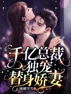 琉璃雪雪的小说《千亿总裁独宠替身娇妻》主角是苏瓷傅南城