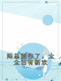 正版小说《陆总别作了，太太已有新欢》宋清枝陆霆在线免费阅读