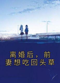 寒江雪徐怀安主角的小说完结版《离婚后，前妻想吃回头草》全集