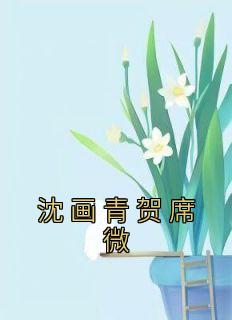 沈画青贺席微免费小说作者佚名全文阅读
