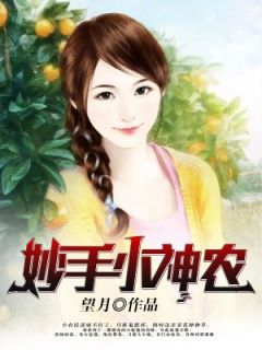主角是陈六合苏婉玥的小说免费阅读