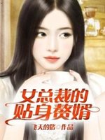 《女总裁的近身高手》小说免费阅读 叶北宁馨小说大结局免费试读