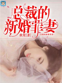 《总裁的新婚罪婚》小说阅读 温宁陆晋渊小说
