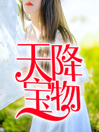 《天降宝物》苏夏江诗薇小说全本在线阅读