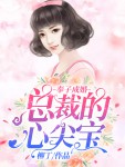 《奉子成婚：总裁的心尖宝》周晓苒陆峥小说全部章节目录