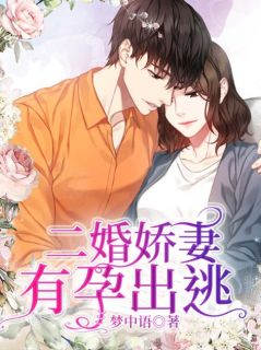 全章节小说二婚娇妻，有孕出逃梦中语最新阅读