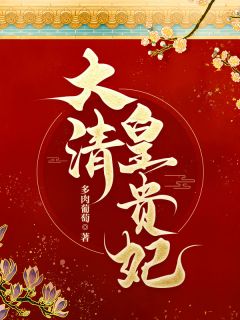 主角是索绰罗若音胤禛的小说大清皇贵妃最完整版热门连载