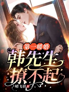 完整版《第一暖婚：韩先生，撩不起》叶柒韩宋小说免费在线阅读