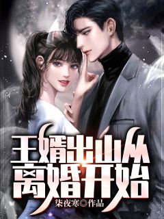 主角是叶枫周诗雅的小说王婿出山从离婚开始最完整版热门连载