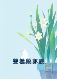 《姜栀段亦辰》by姜栀免费阅读小说大结局