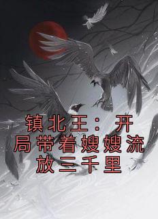 镇北王：开局带着嫂嫂流放三千里小说免费版阅读抖音热文
