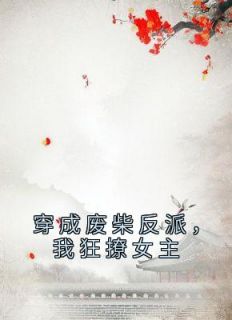 《穿成废柴反派，我狂撩女主》傅天凌苏幻雪小说全文阅读