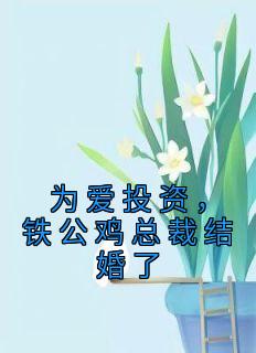 主角林久柒司少谦小说，为爱投资，铁公鸡总裁结婚了免费阅读全文