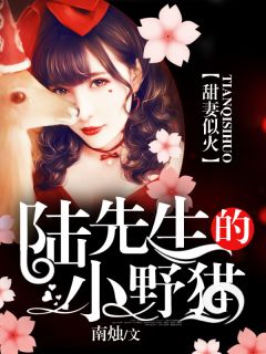 《甜妻似火：陆先生的小野猫》小说完结版精彩试读 陆司南容胭小说阅读