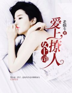 小说《爱上撩人女上司》王晨苏柔全文免费阅读
