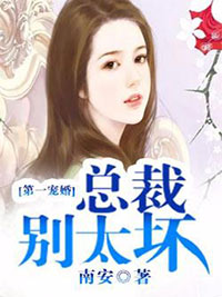 《第一宠婚：总裁别太坏》小说全文在线阅读 穆少天夏子夕小说阅读