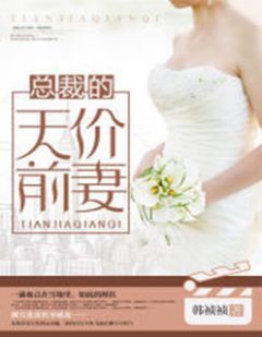 《总裁的天价前妻》小说章节列表在线阅读 夏雪韩文昊小说阅读
