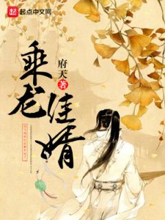 《乘龙佳婿》已完结版全文章节阅读 张寿朱莹小说