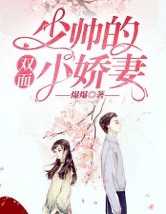 《少帅的双面小娇妻》精彩章节列表在线试读 段茵司明封小说