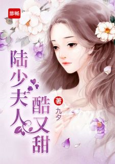 《陆少夫人酷又甜》小说全文免费阅读 叶晚陆煜川小说全文
